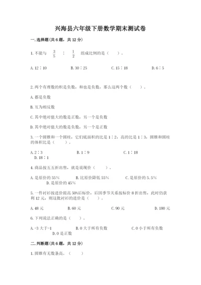 兴海县六年级下册数学期末测试卷（能力提升）.docx