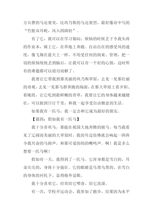 假如我有一匹马想象作文.docx