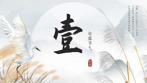 白露白鹤通用PPT模板