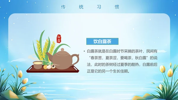 美丽的梦幻传统节气白露PPT模板