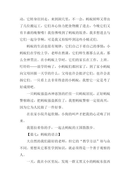 关于蚂蚁的作文500字.docx