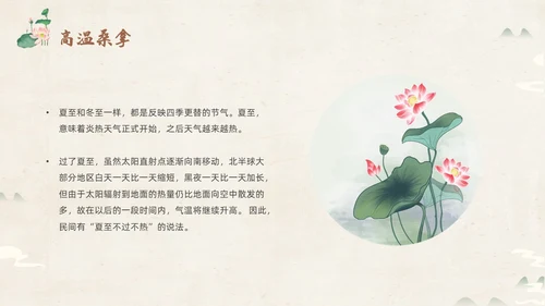 绿色淡雅中国风荷花荷叶中国二十四节气之夏至节气介绍PPT