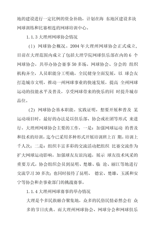 大理州业余网球运动发展状况及对策探究