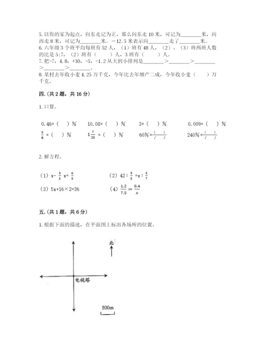北京版数学小升初模拟试卷【典优】.docx