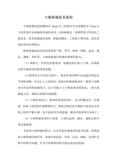 大树移栽重点技术标准流程.docx