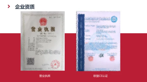 各大公司介绍及业务简介通用PPT模板