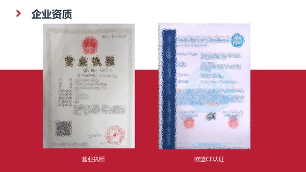各大公司介绍及业务简介通用PPT模板