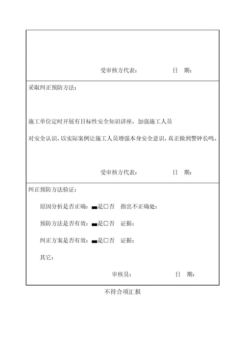 不符合项报告样稿