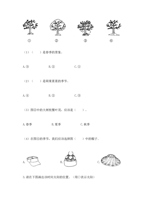 教科版二年级上册科学期末测试卷含答案（实用）.docx