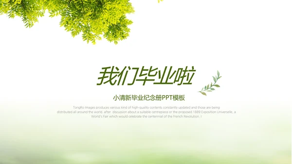 绿色文艺致青春毕业季大学毕业纪念册相册PPT