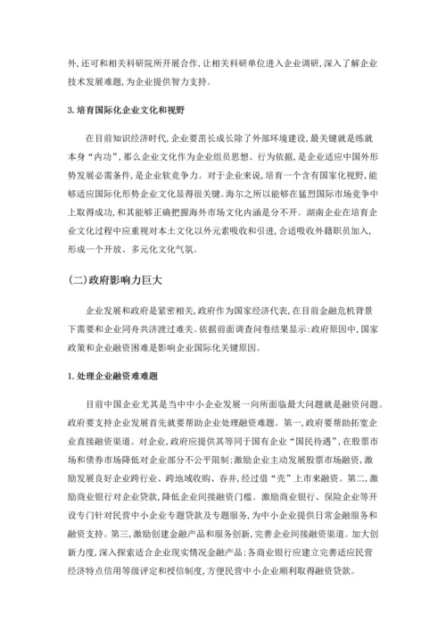 湖南企业国际化经营活动调查分析报告.docx