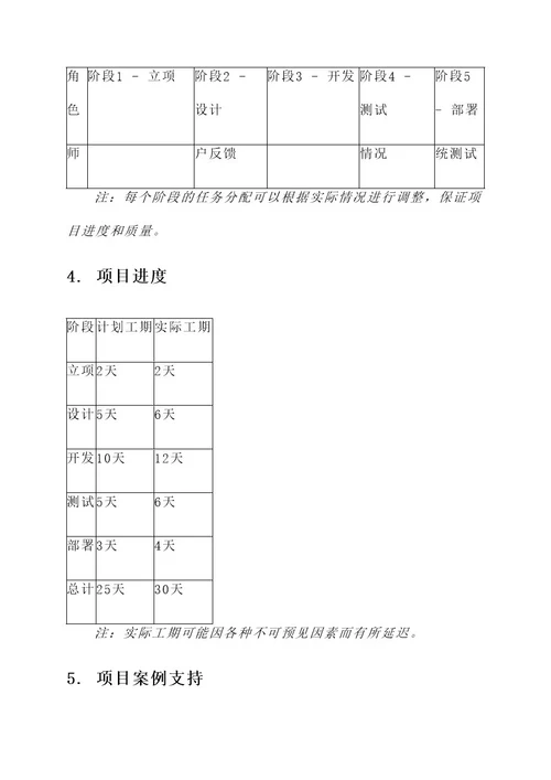 项目实施分工方案