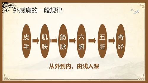 棕色复古中医经络养生PPT模板宣传PPT动态PPT