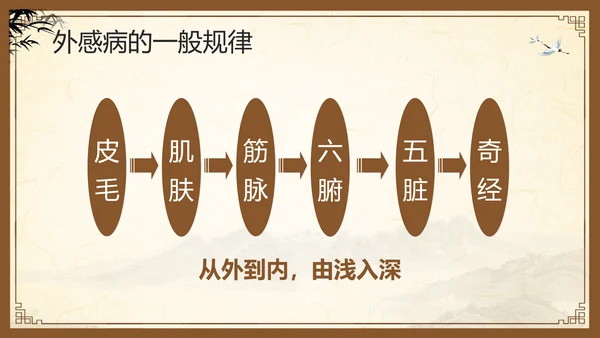 棕色复古中医经络养生PPT模板宣传PPT动态PPT