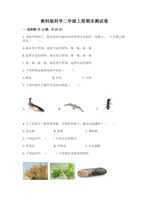 教科版科学二年级上册期末测试卷（基础题）.docx