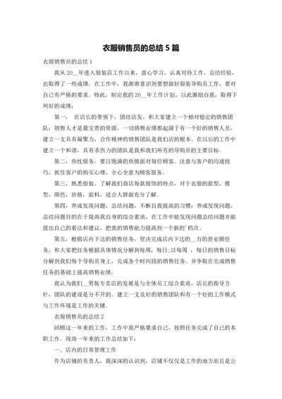 衣服销售员的总结5篇.docx