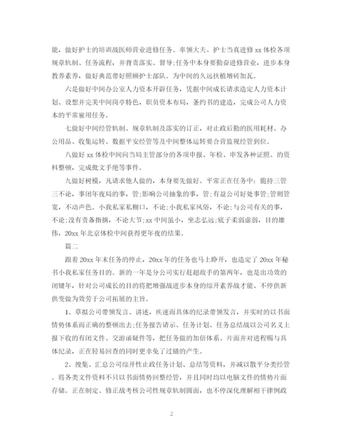 精编之董事会秘书的个人工作计划范文.docx