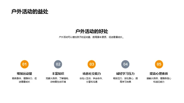 寒露季节的生活艺术