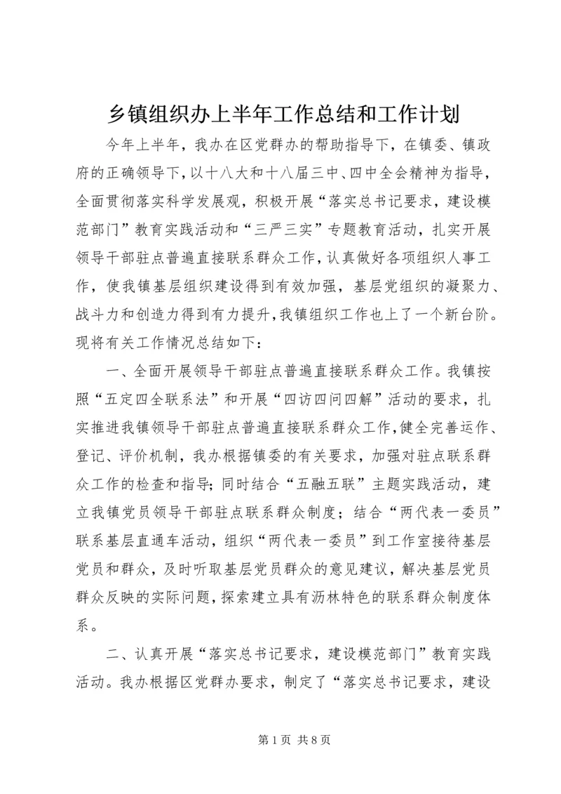 乡镇组织办上半年工作总结和工作计划.docx