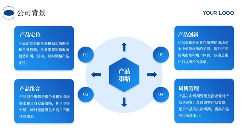 蓝色商务风财务年度执行情况总结