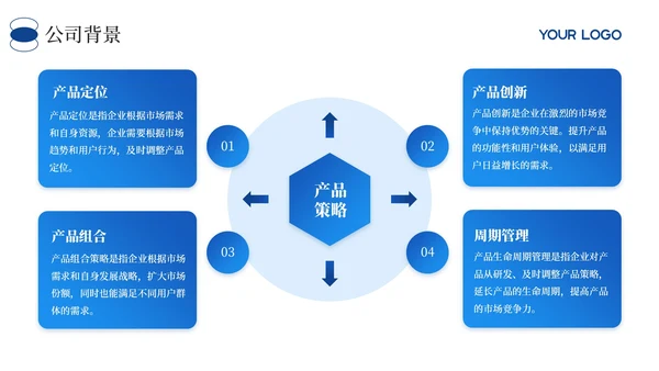 蓝色商务风财务年度执行情况总结