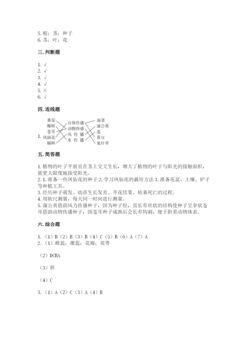 科学四年级下册第一单元《植物的生长变化》测试卷（夺冠系列）.docx