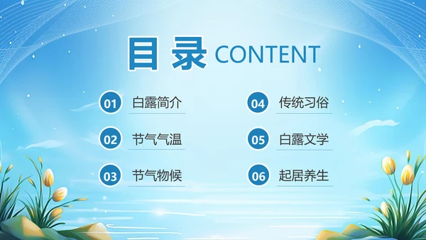 美丽的梦幻传统节气白露PPT模板