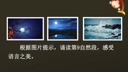 23 月光曲 课件