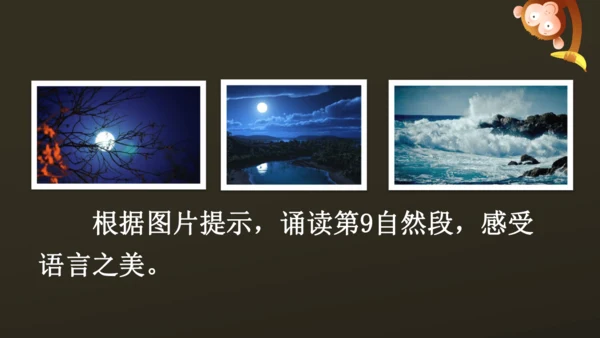23 月光曲 课件