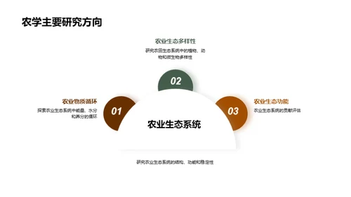 农学研究深度解析