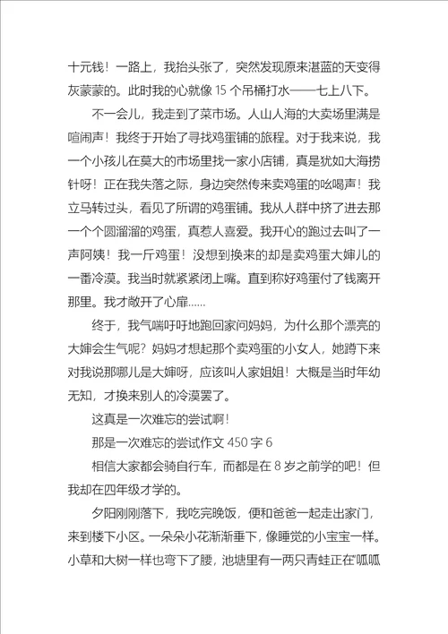 那是一次难忘的尝试作文450字