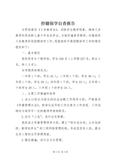 控辍保学自查报告.docx