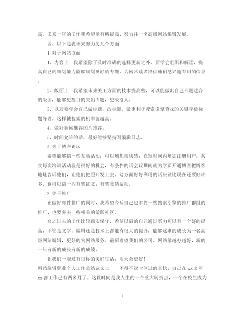 精编之网站编辑职业个人工作总结范文.docx