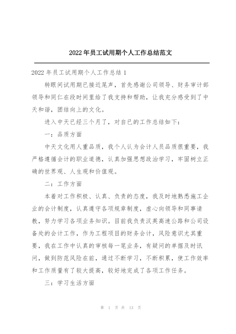 2022年员工试用期个人工作总结范文.docx