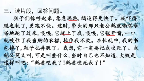 部编版语文四年级上册第六单元复习课件