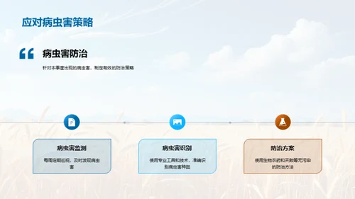 农业产量季度报告