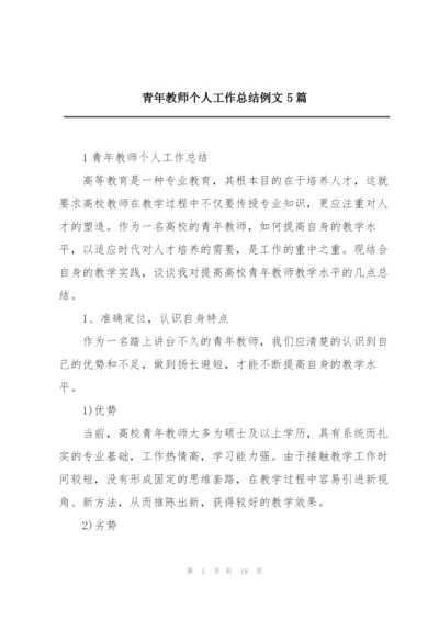 青年教师个人工作总结例文5篇.docx