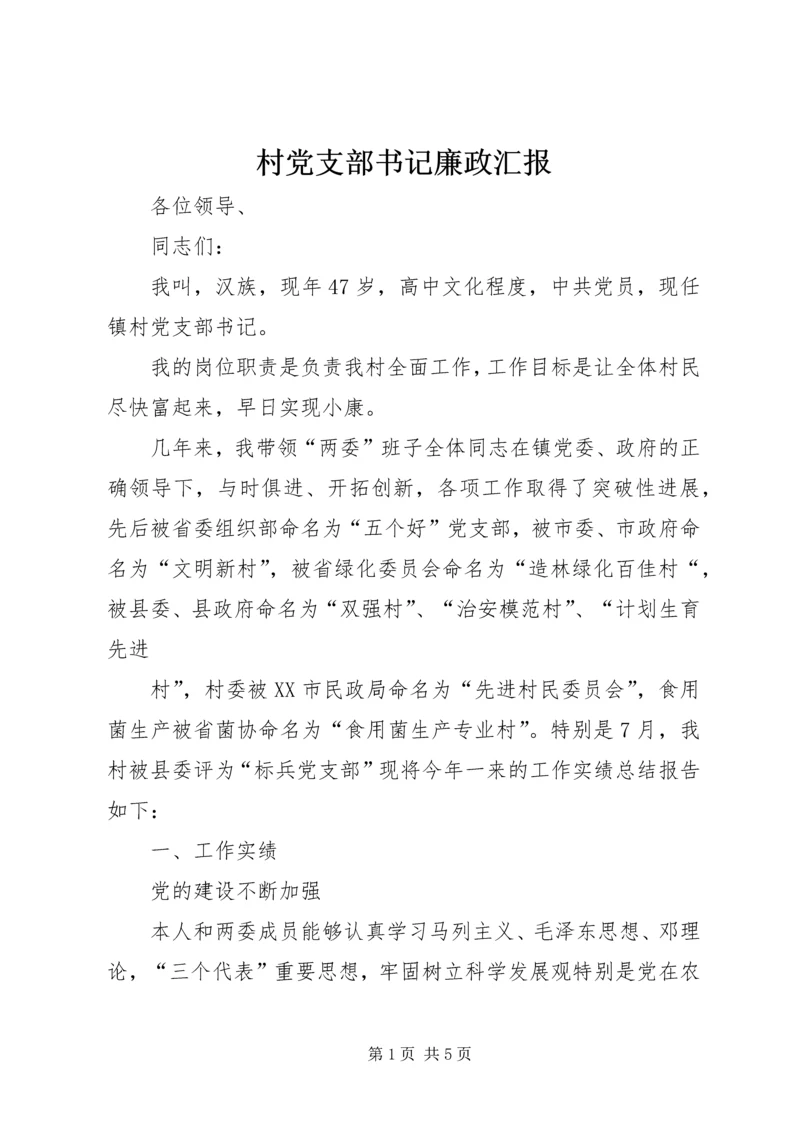 村党支部书记廉政汇报.docx