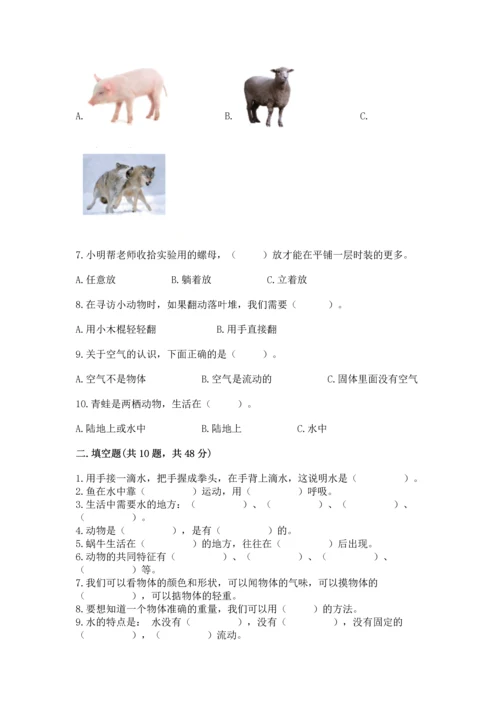 教科版一年级下册科学期末测试卷精品（巩固）.docx