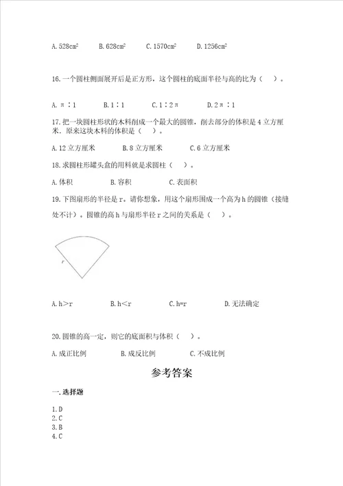 六年级下册数学圆柱与圆锥专项练习题选择题加解析答案