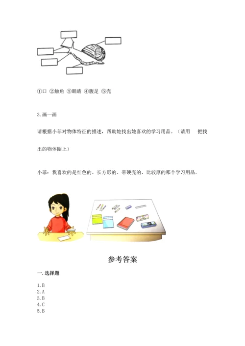 教科版一年级下册科学期末测试卷含下载答案.docx
