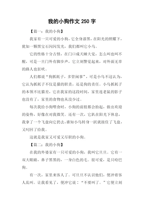 我的小狗作文250字.docx