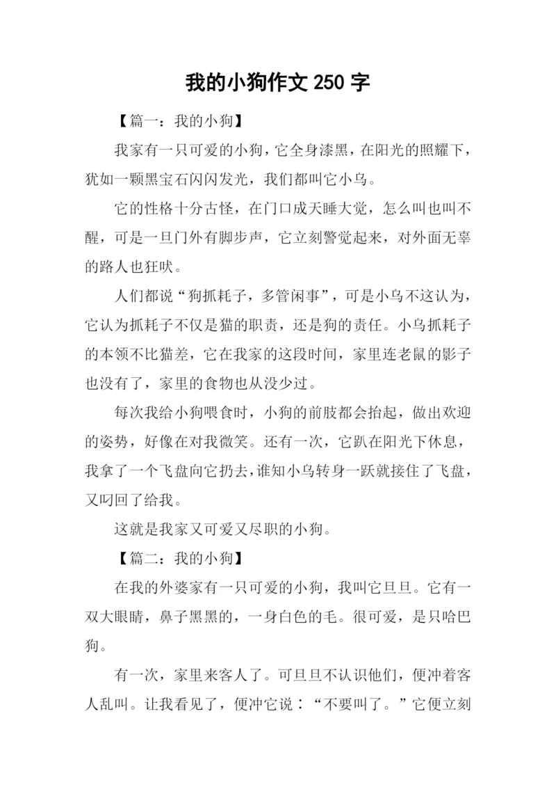 我的小狗作文250字.docx