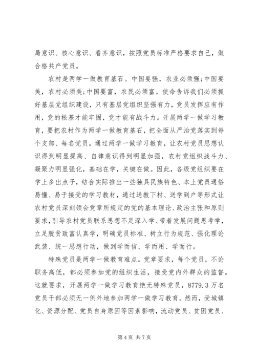 基层工作人员两学一做心得体会.docx