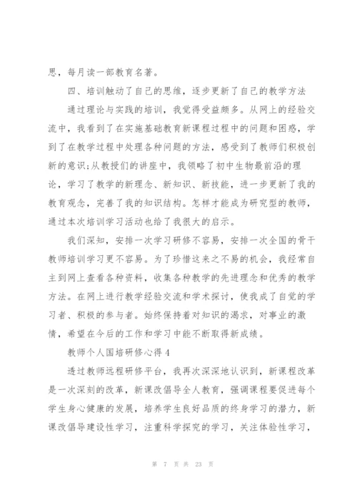 教师个人国培研修心得范文十篇.docx