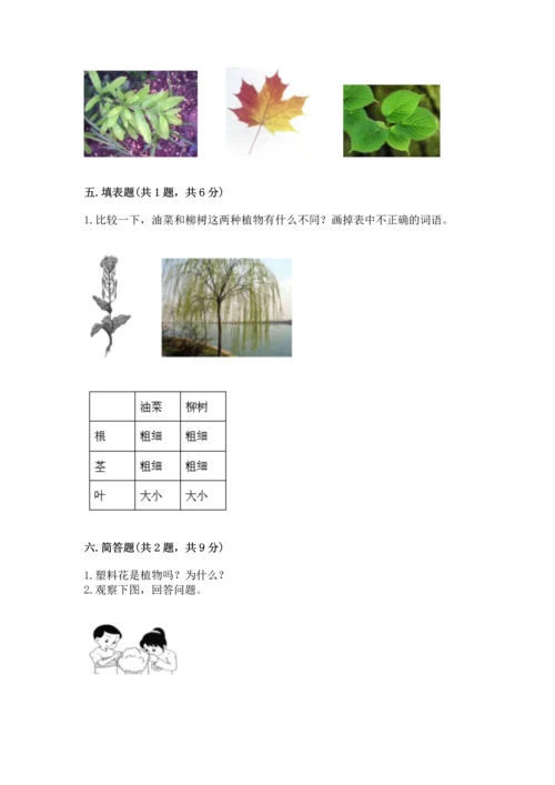 教科版科学一年级上册第一单元《植物》测试卷带答案（预热题）.docx