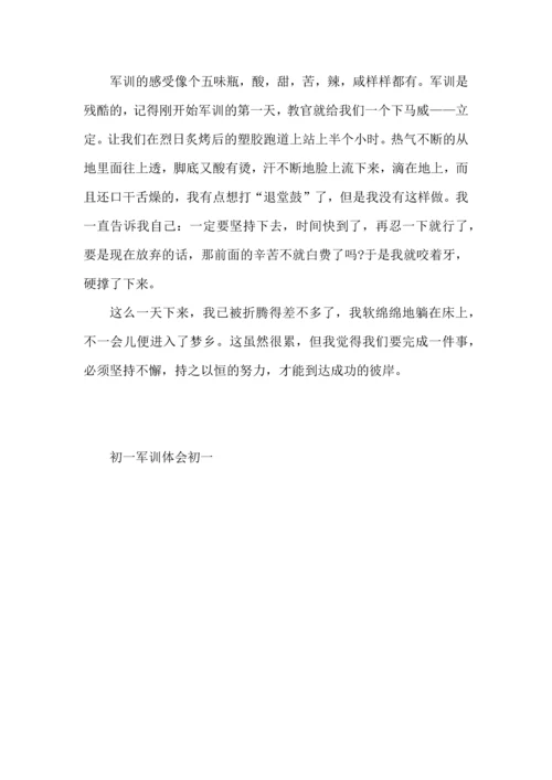 初一军训第三天心得500字左右5篇.docx