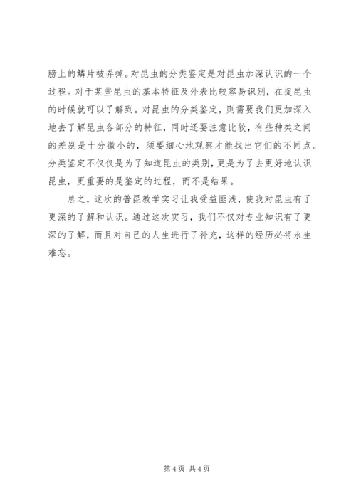 昆虫学学习感受 (4).docx