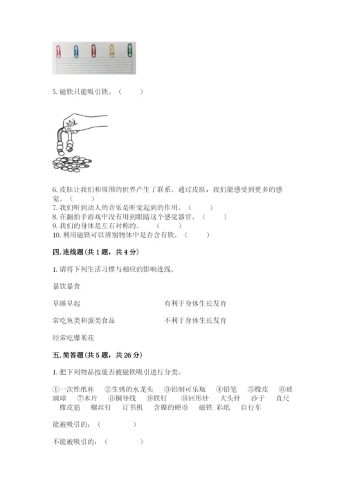 教科版小学科学二年级下册 期末测试卷（综合卷）.docx