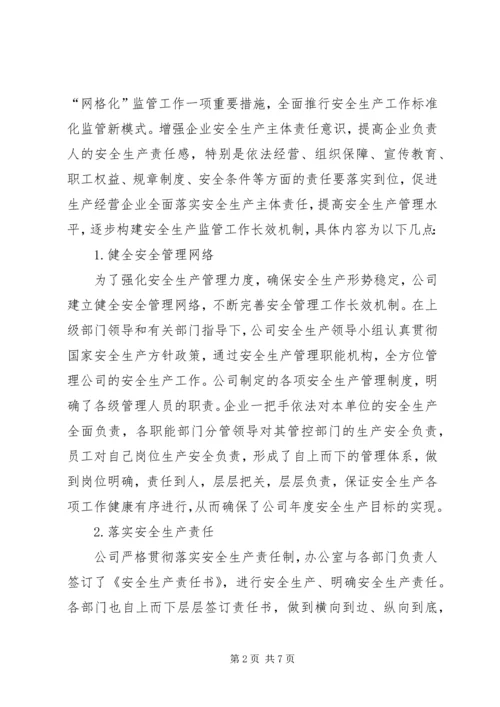 落实企业安全生产主体责任专项行动方案专题 (2).docx